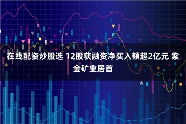 在线配资炒股选 12股获融资净买入额超2亿元 紫金矿业居首